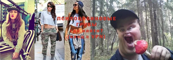 крисы Абинск